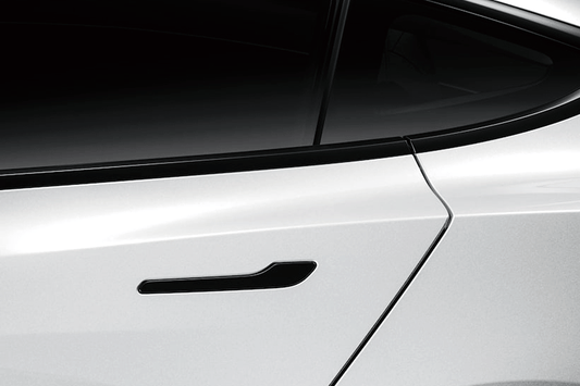 Anti-Virus Tesla Door Handle Protector Gloss/ Matt - The Kare Lab